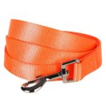 Blueberry Pet 19 Colors Durable Classic Dog Leash 5 ft x 3/4″, Florence Orange, Medium, Basic Nylon Leashes for Dogs