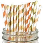 Just Artifacts Assorted Decorative Striped Paper Straws 100pcs – Orange/Apricot/Metallic Gold Striped