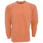 Comfort Colors Adults Unisex Crew Neck Sweatshirt (2XL) (Burnt Orange)
