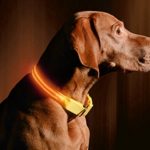 LED Dog Collar – USB Rechargeable – Available in 6 Colors & 6 Sizes – Makes Your Dog Visible, Safe & Seen