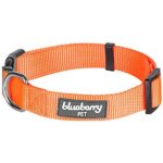 Blueberry Pet 32 Colors Classic Dog Collar, Florence Orange, Small, Neck 12″-16″, Nylon Collars for Dogs