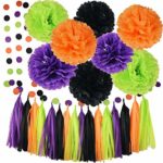 Halloween Party Decorations Orange Black Purple Green Color Tissue Pom Pom Paper Garland Halloween Garland Halloween Decorations Birthday Decorations Purple Halloween Party Supplies