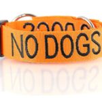 NO DOGS Orange Color Coded Semi-Choke Dog Collar (Not Good with Other Dogs) Prevents Accidents by Warning Others of Your Dog in Advance