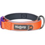 Blueberry Pet 4 Colors Soft & Comfy Summer Hope 3M Reflective Padded Dog Collar with O-Ring, Fluorescent Orange, Small, Neck 12″-16″, Adjustable Collars for Dogs
