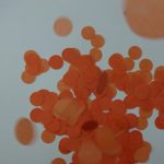 Confetti Circles 1 1/4 Color Orange