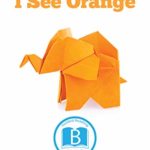 I See Orange (Discover Colors)