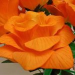 2 Bushes Open Rose 7 Artificial Silk Flowers 15″ Bouquet SN039 Orange