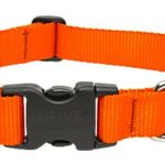 LupinePet Basics 1″ Blaze Orange 16-28″ Adjustable Collar for Large Dogs