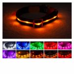 Blazin’ Safety LED Dog Collar – USB Rechargeable with Water Resistant Flashing Light – Large Halloween