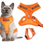 Dexil Color Coded Cat Harness Warning Alert Vest Padded and Water Resistant Orange NO DOGS (S-M)
