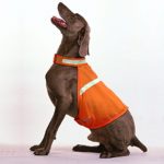 Clan_X Reflective Dog Vest, Adjustable Lightweight Dog Coat to Keep Dog Safe, Soft & Weatherproof Mesh Dog Vest Night Walking &Hunting, Available Sizes in Small, Medium, Large(L, Orange)