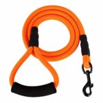 Mile High Life Mountain Climbing Nylon Dog Rope Leash with Soft Handle 4 Feet Multi-Colors (Orange)