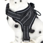 Mile High Life Dog Vest Harness with 3M Reflective Safety Band with Green Orange and Black Color Options Medium Black