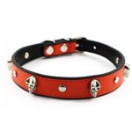 Colorful Personalized Design Skull/Rivet/Star Puppies Cats Collar 9 Colors Optional Red/Yellow/Black/Brown/Pink/Green/Orange/ Rose red/ Blue (M, Orange (Skull))