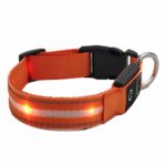 LumoLeaf LED Light up Dog Collar, Sunset Orange, Medium 13.4-19.7” / 34-50 cm, USB Rechargeable with Weather Resistance Flashing Lights, Reflective Nylon Belt, 5 Colors / 3