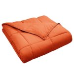 Superior Classic All-Season Down Alternative Comforter with Baffle Box Construction Twin Dusty Orange
