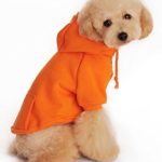 TOPSOSO Fashion Shop Pet Coat Polyester/Cotton Basic Dog Hoodie?Dog Jacket,Dog Fleece for Young Dog and Large Dog,6 Sizes avaiable and 4 Color for Choose (Orange, M (Back 11″))