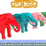 Teaching Color Animal Elephant and Fruit Surprise Egg Cartoon