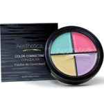 Aesthetica Color Correcting Cream Concealer Palette – Conceals Blemishes/Imperfections – Includes Green, Purple, Yellow, Salmon Color Correctors