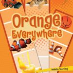 Orange Everywhere (Lightning Bolt Books) (Lightning Bolt Books: Colors Everywhere (Library))