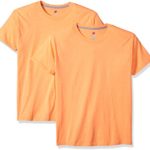 Hanes Men’s 2 Pack X-Temp Performance T-Shirt