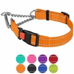 CollarDirect Reflective Martingale Collars for Dogs Training Chain Pet Choke Collar with Buckle Red Pink Mint Green Orange Blue Black Purple (M, Orange)