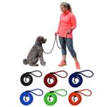 Peak Pooch Dog Rope Leash, 6 foot (Color: Orange), Very Strong