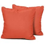 TK Classics Square Outdoor Throw Pillows, Set of 2, Tangerine