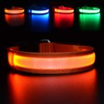 MASBRILL LED Dog Collar,Night Collar Dog DC Rechargeable Waterproof Durable Glowing Dog Collar 3 Colors (M(0.9819.69″), Orange)