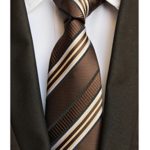 Elfeves Men’s Modern Striped Patterned Formal Ties College Daily Woven Neckties