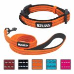 azuza Durable Padded Dog Leash and Collar Set,Reflective Strip Extra Safe and Comfy for Small Dogs, Orange
