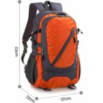 Travel Backpack Big Capacity Multi-Function Wear-Resistant Waterproof Mountaineering Bag Camping Hiking Backpack Outdoor Tourism Backpack (Color : Orange, Size : 45L)