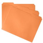File Folder, 1/3 Cut Tab, Letter Size, Orange, Great for organizing and Easy File Storage, 100 Per Box