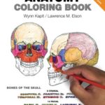 The Anatomy Coloring Book