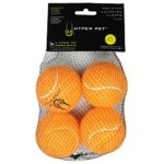 HypetPet Tennis Balls (4 Pack)