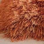LA Plush Fluffy Shag Shaggy Large Thick Furry Fuzzy Rectangle Furry Pile Soft Shimmer Patterned Contemporary 5-Feet-by-7-Feet Polyester Made Area Rug Carpet Rug Orange Rust Color