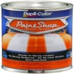 Dupli-Color BSP207 Hugger Orange Paint Shop Finish System – 32 oz.