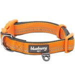 Blueberry Pet 6 Colors Soft & Comfy 3M Reflective Pastel Color Padded Dog Collar, Baby Orange, Small, Neck 12″-16″, Adjustable Collars for Dogs