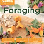 Foraging: Over 30 Tasty Recipes to Turn Your Foraged Finds into Feasts (Idiot’s Guides)