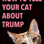 HOW TO TELL YOUR CAT ABOUT TRUMP