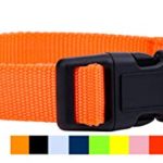 Native Pup Nylon Dog Collar Classic Solid Colors (Medium, Orange)