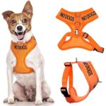No Dogs Orange Color Coded Not Good With Other Dogs Waterproof Padded Adjustable Non Pull Front and Back Ring Alert Warning Small Vest Dog Harness Prevents Accidents By Warning Others of Your Dog in Advance