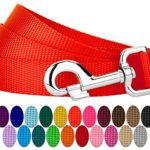 Country Brook Petz | Vibrant 22 Color Selection | Nylon Dog Leash (Hot Orange, 1 inch Width, 6 Foot)