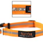 Mighty Paw Waterproof Dog Collar, Smell-Proof Active Dog Gear, Coated Nylon Webbing with Reflective Stripe. (Orange, Medium)