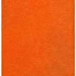 Ambiant Pet Friendly Solid Color Area Rug Orange – 2’x3′ with Non Slip Backing