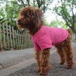 Lovelonglong 2019 Pet Clothing Dog Costumes Basic Blank T-Shirt Tee Shirts for Small Dogs Rosered M