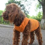2018 Pet Clothes Dog Clothing Blank T-Shirt Tanks Top Vests for Small Middle Large Size Dogs 100% Cotton Dog Summer Vest Classic (M, Orange)