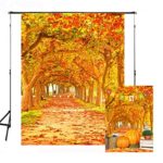 Phoenix Tree Backdrop Autumn Scenery Romantic Road Landscape Coverd with Leaves Photography Backdrop Orange Color 5x7ft BT022