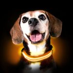 Ultimate LED Dog Collar – USB Rechargeable, cable included, 5 awesome colors. Ultra Bright, Durable, Made to last. Make your dog more visible at night. (Large, Orange)