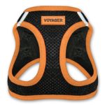 Voyager Step-In Air Dog Harness – All Weather Mesh, Step In Vest Harness for Small and Medium Dogs by Best Pet Supplies – Orange, Small (Chest: 14.5″ – 17″)